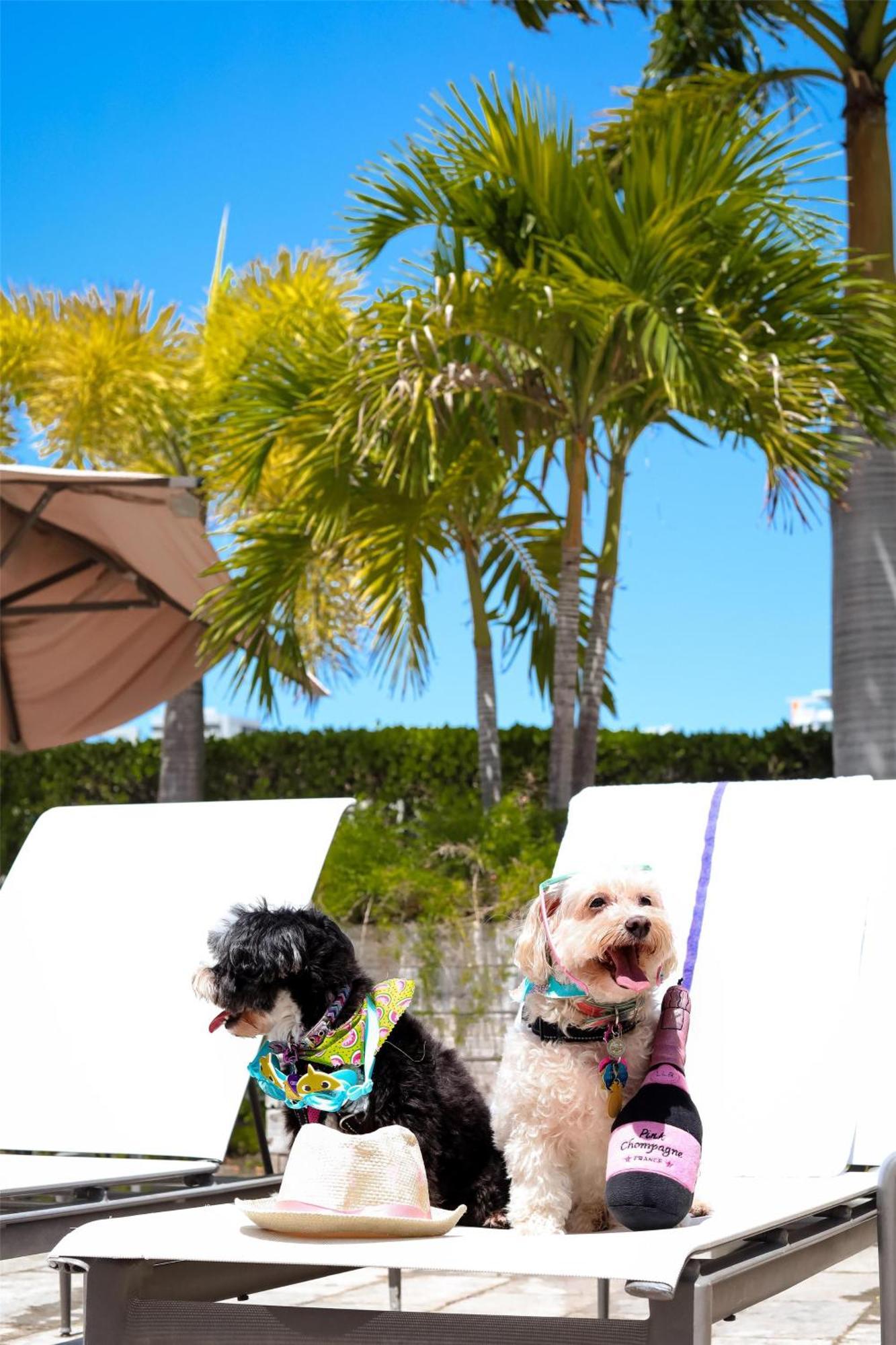 Hyatt Place San Juan Zewnętrze zdjęcie